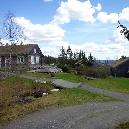 Skei Lägenhet Svingvoll