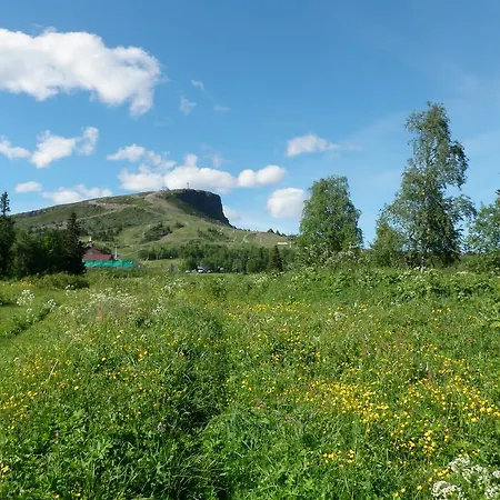 Lejlighed Skei Svingvoll