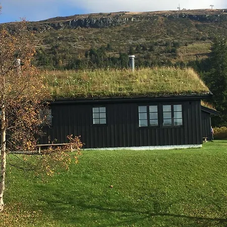 Skei Svingvoll