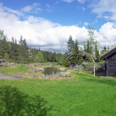 Skei Апартаменты