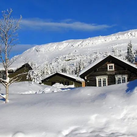 Skei Апартаменты Свингволл