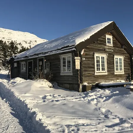 Апартаменты Skei *