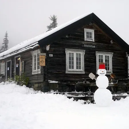 Skei * Свингволл